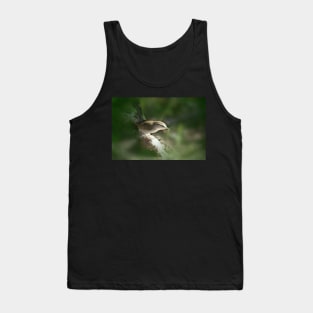 Beswick's Wren in Green Tank Top